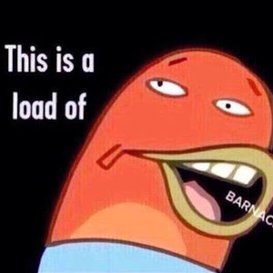 Meet your Posher, Joey